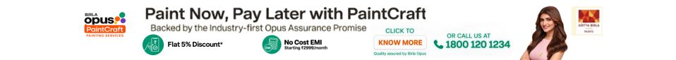 Paint Now Pay Later with PaintCraft - Birla Opus